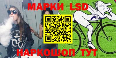 крисы Кулебаки