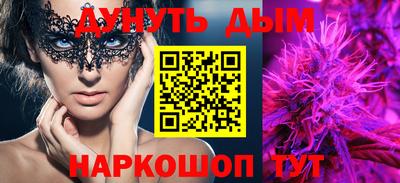 крисы Кулебаки