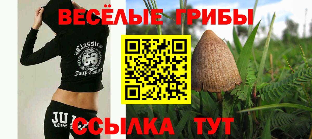 Псилоцибиновые грибы Magic Shrooms  Галлюциногенные грибы прущие грибы  Кимры  Вход с VPN 