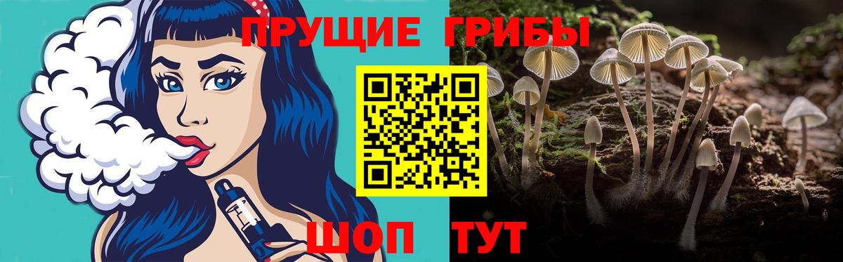 Псилоцибиновые грибы Cubensis Кимры